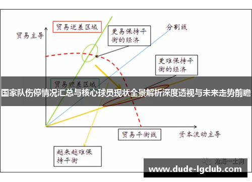 国家队伤停情况汇总与核心球员现状全景解析深度透视与未来走势前瞻